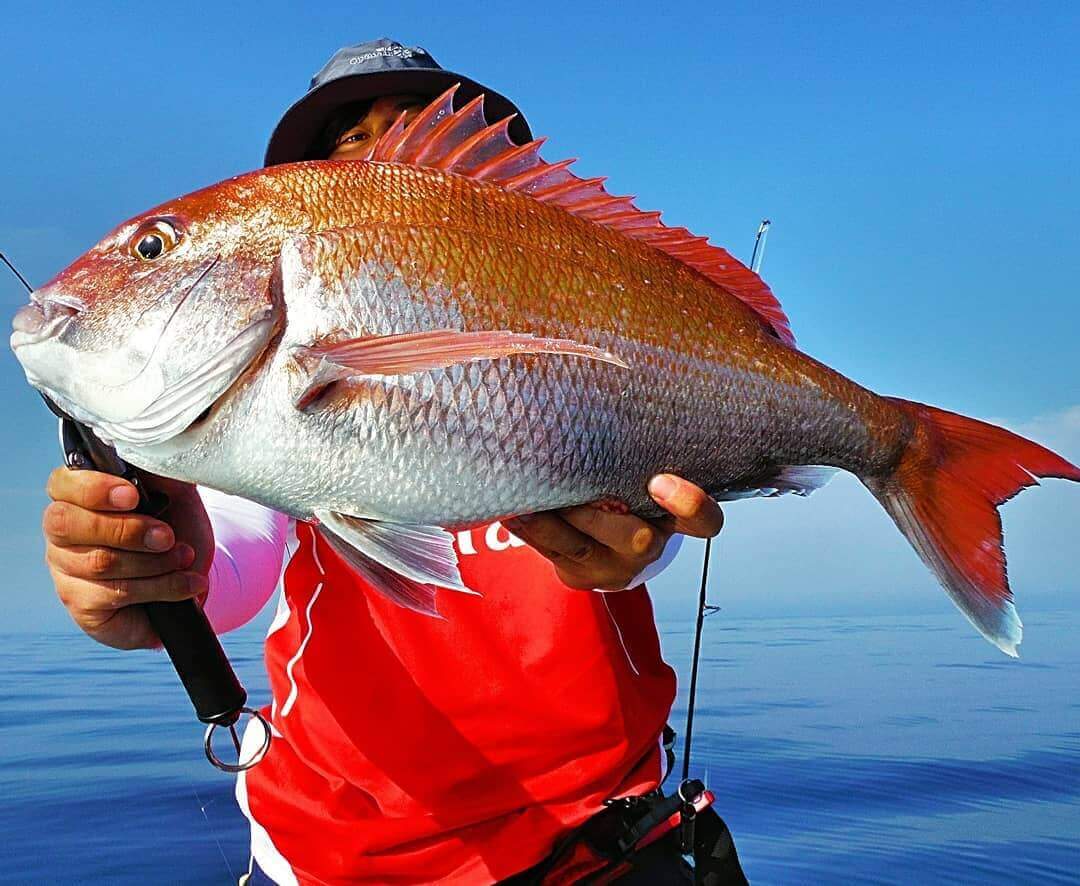 30592425_623592027980174_33650